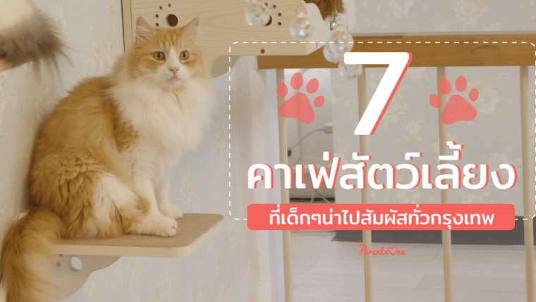 7 คาเฟ่สัตว์เลี้ยง ที่เด็กๆน่าไปสัมผัสทั่วกรุงเทพฯ