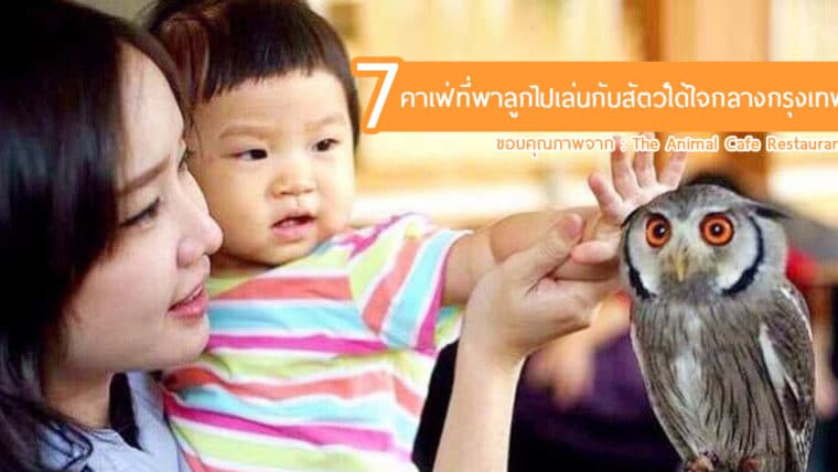 7 คาเฟ่ที่พาลูกไปเล่นกับสัตว์ได้ใจกลางกรุงเทพ