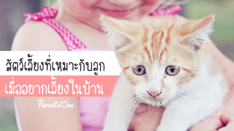 สัตว์เลี้ยงที่เหมาะกับลูก เมื่ออยากเลี้ยงในบ้าน