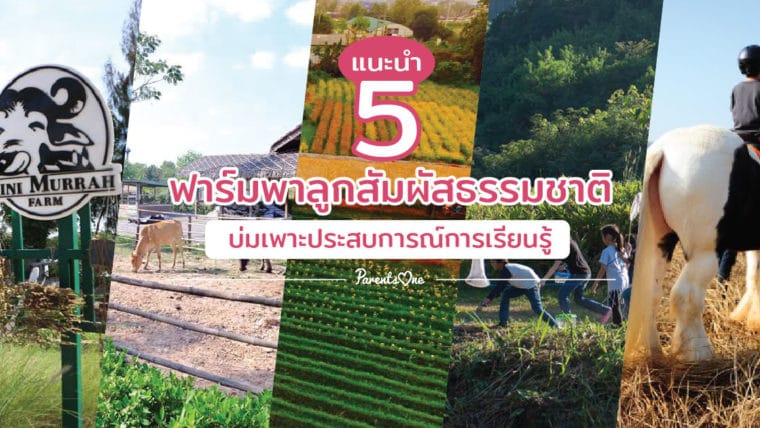 แนะนำ 5 ฟาร์มพาลูกสัมผัสธรรมชาติ บ่มเพาะประสบการณ์การเรียนรู้