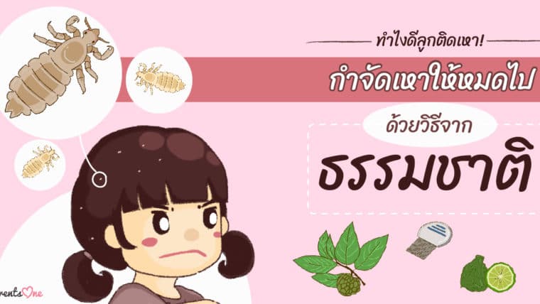 ทำไงดีลูกติดเหา! กำจัดเหาให้หมดไปด้วยวิธีจากธรรมชาติ