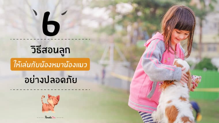 6 วิธีสอนลูกให้เล่นกับน้องหมาน้องแมว อย่างปลอดภัย