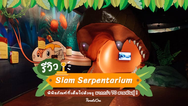 รีวิว Siam Serpentarium พิพิธภัณฑ์ที่เต็มไปด้วยงูมากกว่า 70 สายพันธุ์!