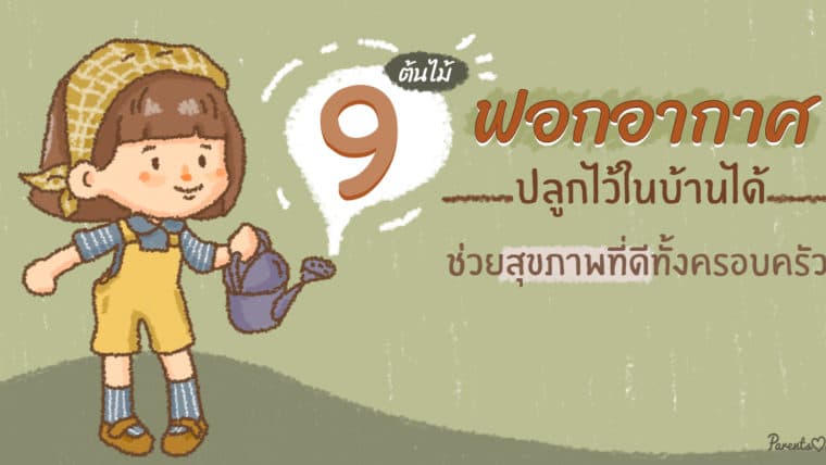 9 ต้นไม้ฟอกอากาศปลูกไว้ในบ้านได้  ช่วยสุขภาพที่ดีทั้งครอบครัว