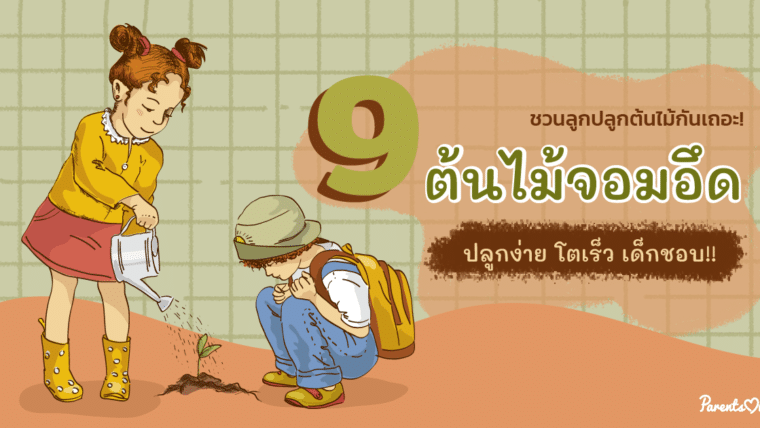 ชวนลูกปลูกต้นไม้กันเถอะ! 9 ต้นไม้จอมอึด ปลูกง่าย โตเร็ว เด็กชอบ!!