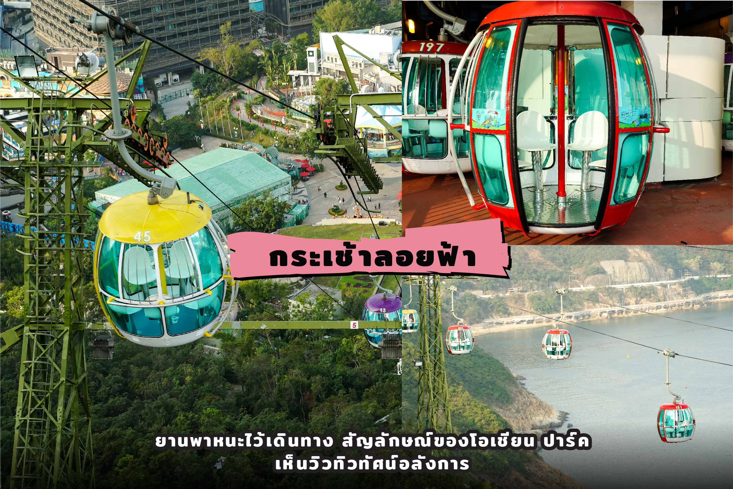 oceanparkreview0202 Parents One