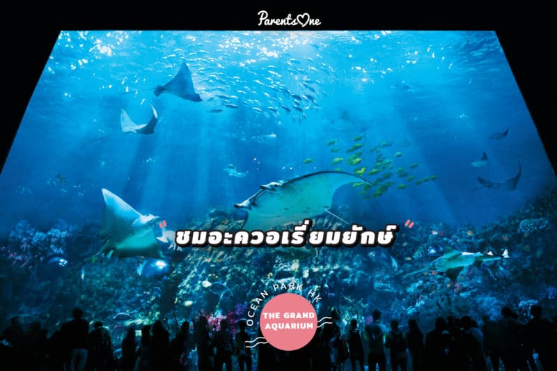 oceanparkreview0206 Parents One