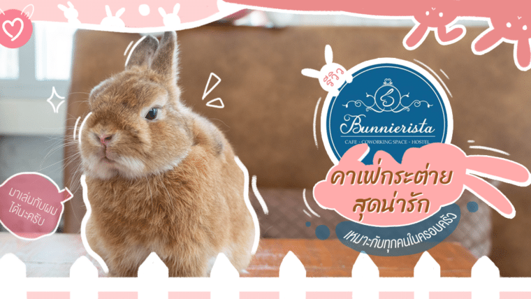 รีวิว Bunnierista คาเฟ่กระต่ายสุดน่ารักเหมาะกับทุกคนในครอบครัว