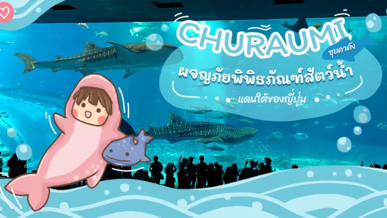 CHURAUMI ซุยคาคัง ผจญภัยพิพิธภัณฑ์สัตว์น้ำแดนใต้ของญี่ปุ่น