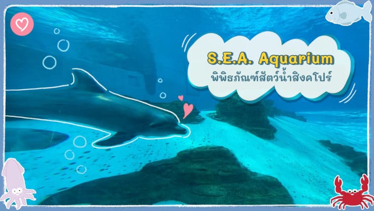 พาเที่ยว S.E.A Aquarium พิพิธภัณฑ์สัตว์น้ำสิงคโปร์