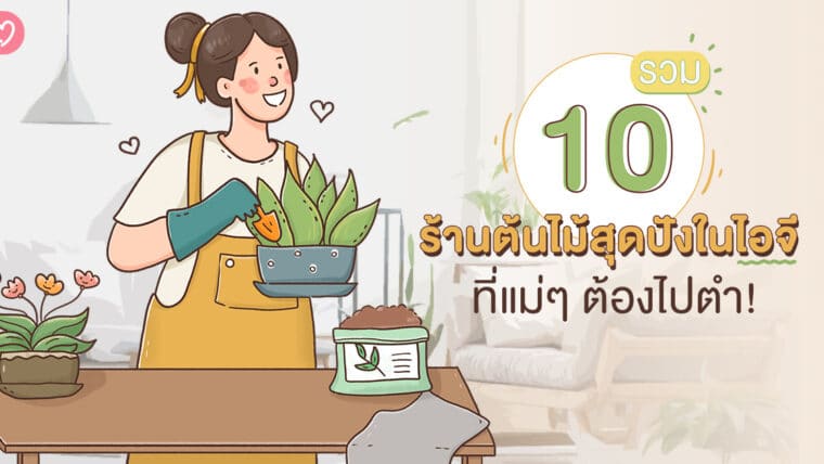 คุณแม่สายธรรมชาติต้องโดน รวม 10 ร้านขายต้นไม้สุดปังในไอจี ที่แม่ๆ ต้องไปตำ!!