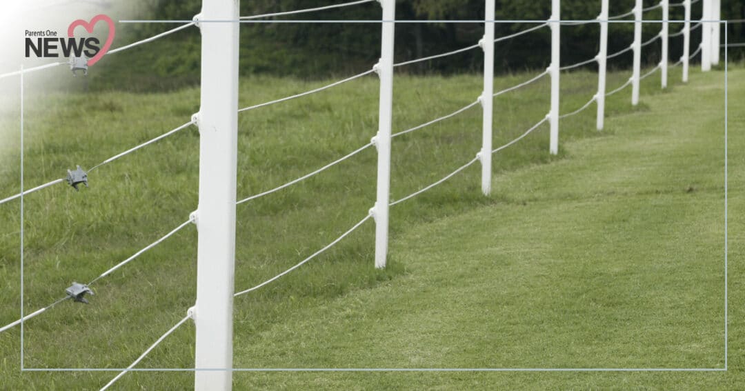 kidsdiedfromelectricfence80 Parents One