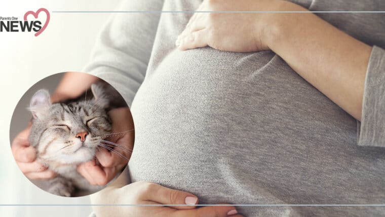 NEWS: คนท้องต้องระวัง โรคขี้แมวขึ้นสมอง หากตั้งครรภ์เสี่ยงแท้ง