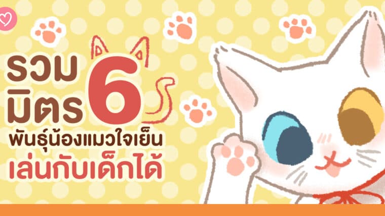 รวมมิตร 6 พันธุ์น้องแมวใจเย็น เล่นกับเด็กได้