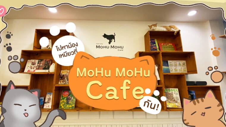 ไปหาน้องเหมียวที่ MoHu MoHu Cafe กัน!