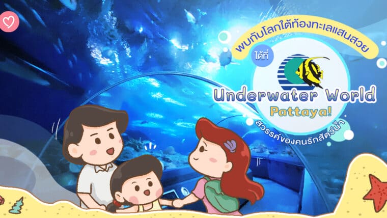 พบกับโลกใต้ท้องทะเลแสนสวยได้ที่ Underwater World Pattaya ! สวรรค์ของคนรักสัตว์น้ำ