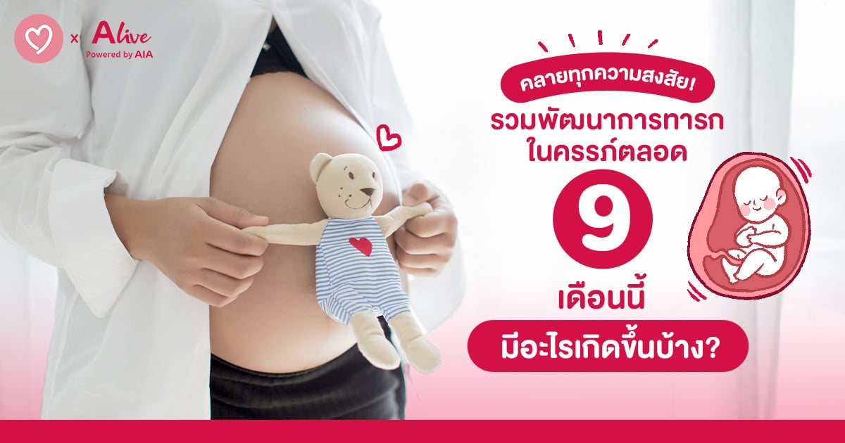 คลายทุกความสงสัย! รวมพัฒนาการทารกในครรภ์ตลอด 9 เดือน มีอะไรเกิดขึ้นบ้าง?