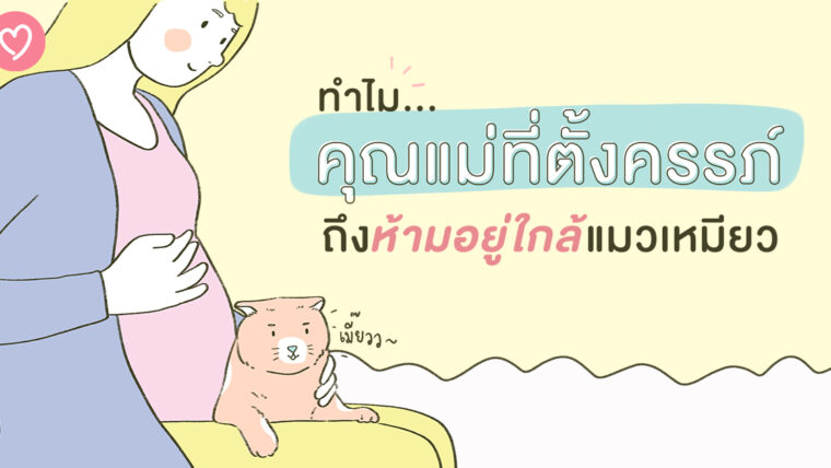 ทำไมคุณแม่ที่ตั้งครรภ์ ถึงห้ามอยู่ใกล้แมวเหมียว